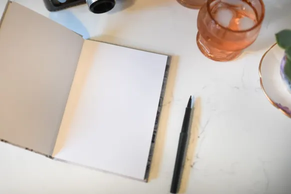 Tortuga Casino Assistance